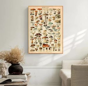 Cartel champignons